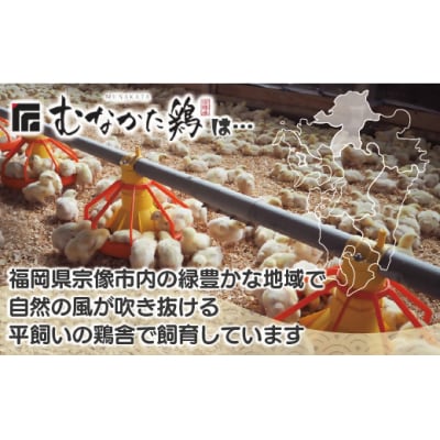 宗像産ブランド鶏【むなかた鶏】食べ比べセット【JAほたる】_HA1424
