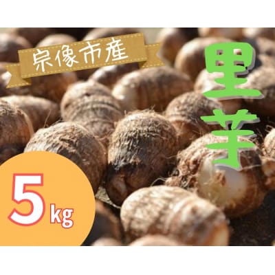 循環型有機肥料で育った里芋(石川早生) 5kg【アグリCATS】_HA1432