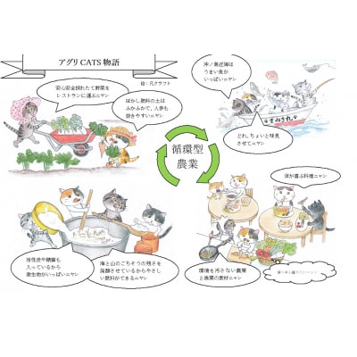 循環型有機肥料で育った里芋(石川早生) 5kg【アグリCATS】_HA1432