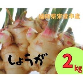 循環型有機肥料で育った生姜 2kg【アグリCATS】_PA1434