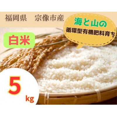 循環型有機肥料で育った白米 【1】ゆめつくし【2】ぴかまる 5kg【アグリCATS】_HA1589