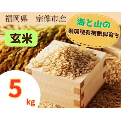 z^L@엿ňāy1z߂y2z҂܂5kgyAOCATSz_HA1439