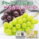 JAむなかた厳選【むなかた産シャインマスカット・マスカットノワール】2房(1kg以上)_HA1475
