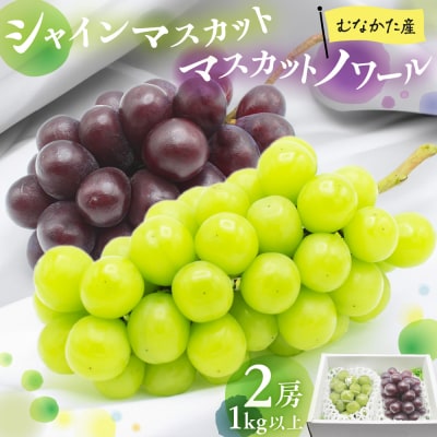 JAむなかた厳選【むなかた産シャインマスカット・マスカットノワール】2房(1kg以上)_HA1475