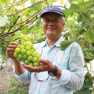 JAむなかた厳選【むなかた産シャインマスカット・マスカットノワール】2房(1kg以上)_HA1475