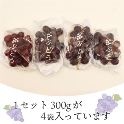 【JAむなかたより】巨峰1.2kg【JAほたるの里】_HA1476