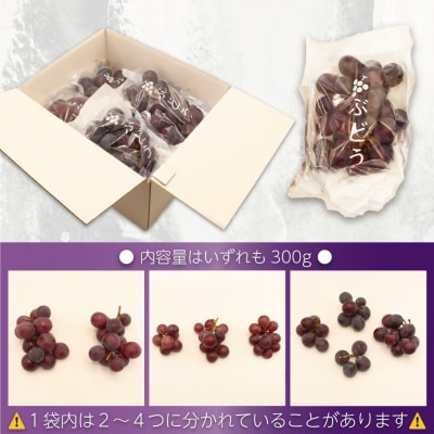 【JAむなかたより】巨峰1.2kg【JAほたるの里】_HA1476