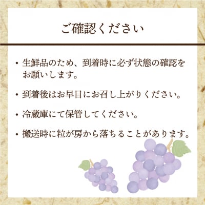 【2026年収穫分 先行受付】【JAむなかたより】巨峰1.2kg【JAほたるの里】_HA1476