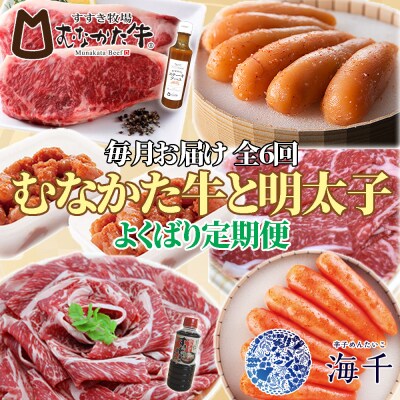 【定期便 全6回】むなかた牛×明太子 よくばり定期便【毎月お届け】_HB0153