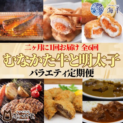 【定期便 全6回】むなかた牛×明太子 バラエティ定期便【2ヶ月に1回お届け】_HB0152