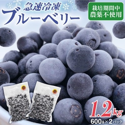 栽培期間中農薬不使用!急速冷凍ブルーベリー 1.2kg 【JAほたるの里】_HA1517