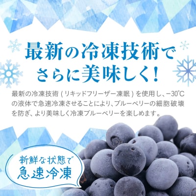 栽培期間中農薬不使用!急速冷凍ブルーベリー 1.2kg 【JAほたるの里】_HA1517