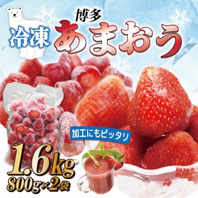 急速冷凍! あまおう 冷凍いちご 1.6kg【JAほたるの里】_HA1513