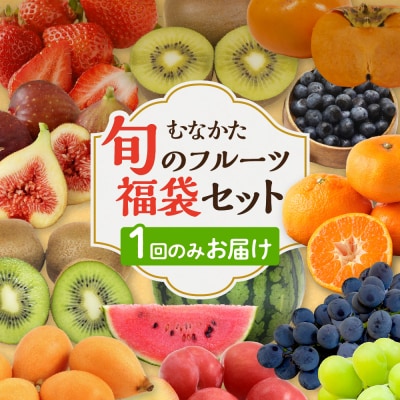 何が届くかお楽しみ!むなかた旬のフルーツ福袋セット【JAほたるの里】_HA1541