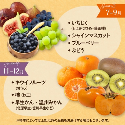 何が届くかお楽しみ!むなかた旬のフルーツ福袋セット【JAほたるの里】_HA1541
