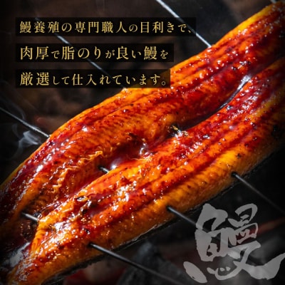 うなぎ蒲焼き(約100g)×4Pセット【魚住商店】_HA1496