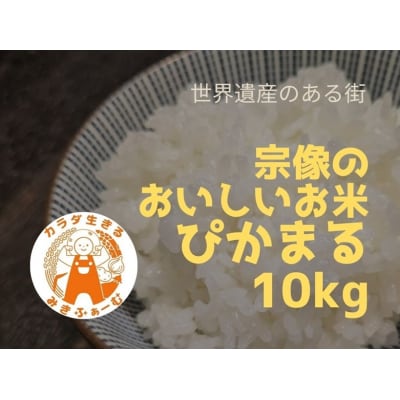 令和7年産 新米受付!むなかた産 米 ぴかまる 10kg【みきふぁーむ】_HA1544