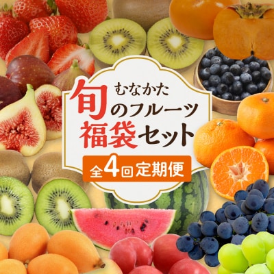 何が届くかお楽しみ!むなかた旬のフルーツ福袋定期便【年4回】【JAほたるの里】_HB0165