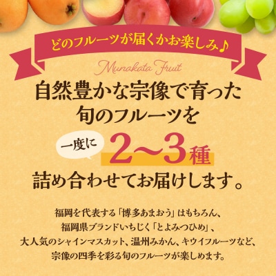 何が届くかお楽しみ!むなかた旬のフルーツ福袋定期便【年4回】【JAほたるの里】_HB0165