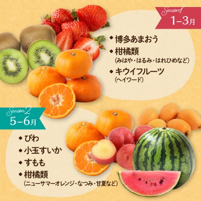 何が届くかお楽しみ!むなかた旬のフルーツ福袋定期便【年4回】【JAほたるの里】_HB0165