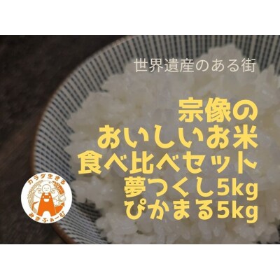 むなかた産 米 夢つくし ぴかまる 食べ比べ 各5kg 計10kg 【みきふぁーむ】_HA1545
