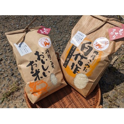 むなかた産 米 夢つくし ぴかまる 食べ比べ 各5kg 計10kg 【みきふぁーむ】_HA1545