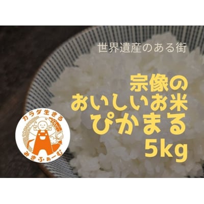 令和7年産 新米先行予約!むなかた産 米 ぴかまる 5kg【みきふぁーむ】_HA1543