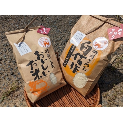 令和7年産 新米先行予約!むなかた産 米 ぴかまる 5kg【みきふぁーむ】_HA1543