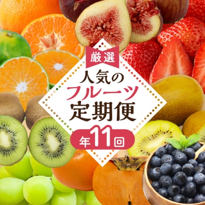 【定期便/年11回】JAむなかた厳選!旬のフルーツ定期便【JAほたるの里】_HB0171
