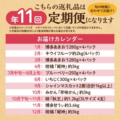 【定期便/年11回】JAむなかた厳選!旬のフルーツ定期便【JAほたるの里】_HB0171