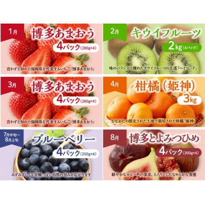 【定期便/年11回】JAむなかた厳選!旬のフルーツ定期便【JAほたるの里】_HB0171