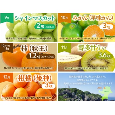 【定期便/年11回】JAむなかた厳選!旬のフルーツ定期便【JAほたるの里】_HB0171