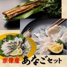 あなごセット(あなご炙り刺し、あなご刺身、煮あなご)【宗像漁協】_HA1518