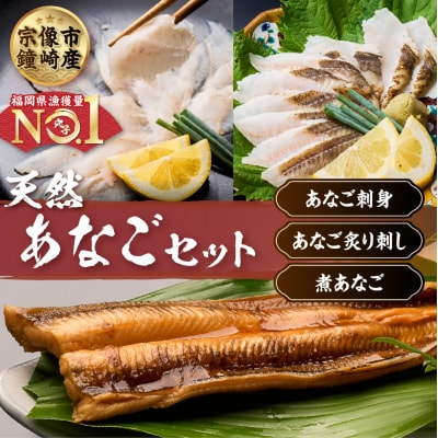 あなごセット(あなご炙り刺し、あなご刺身、煮あなご)【宗像漁協】_HA1518