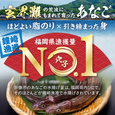 あなごセット(あなご炙り刺し、あなご刺身、煮あなご)【宗像漁協】_HA1518