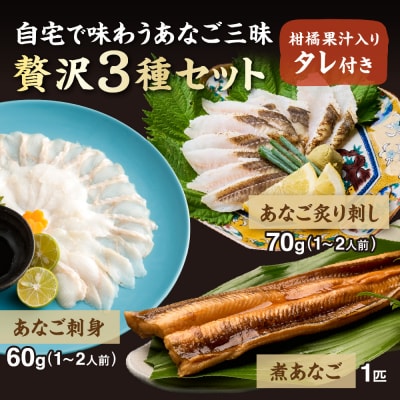あなごセット(あなご炙り刺し、あなご刺身、煮あなご)【宗像漁協】_HA1518