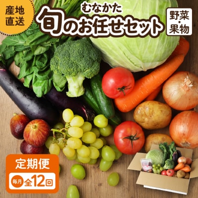 【毎月お届け】むなかた旬のお任せセット(野菜・フルーツ)9～11品【JAほたるの里】_HB0175