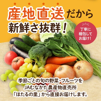 【毎月お届け】むなかた旬のお任せセット(野菜・フルーツ)9～11品【JAほたるの里】_HB0175