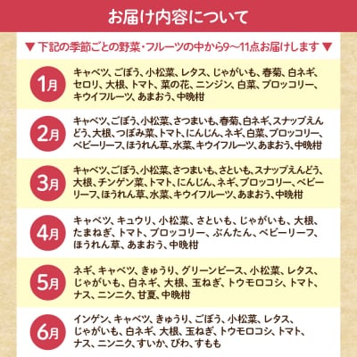 【毎月お届け】むなかた旬のお任せセット(野菜・フルーツ)9～11品【JAほたるの里】_HB0175