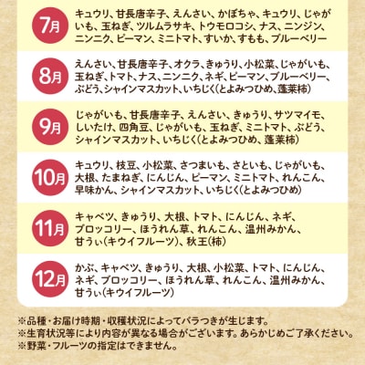 【毎月お届け】むなかた旬のお任せセット(野菜・フルーツ)9～11品【JAほたるの里】_HB0175