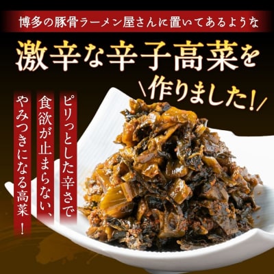 辛子高菜 250g×4パック【魚住商店】_HA1585