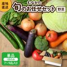むなかた旬のお任せセット(野菜) 7～9品【JAほたるの里】_HA1569