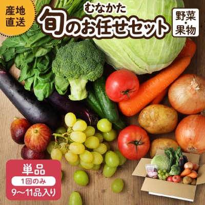 【9～11品】むなかた旬のお任せ セット(野菜・フルーツ)【JAほたるの里】_HA1570