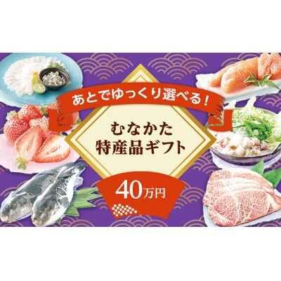 あとでゆっくり選べる!むなかた特産品40万円コース_HY0040