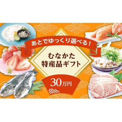 あとでゆっくり選べる!むなかた特産品30万円コース_HY0030