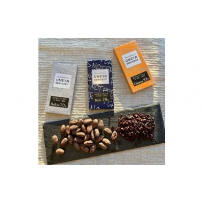 Bean to BAR 産地別カカオ豆のチョコ3種食比べ UMEYA BRAINERY_HA1601