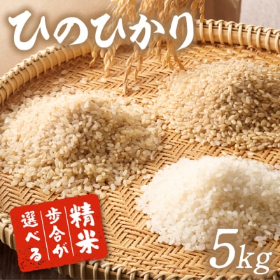 令和8年産 自然栽培米ひのひかり5kg〈栽培期間中農薬・肥料不使用〉【ほのわ】_HA1609