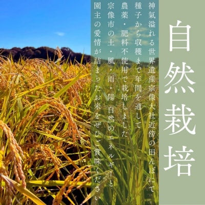 令和7年産新米受付!自然栽培米ひのひかり5kg〈栽培期間中農薬・肥料不使用〉【ほのわ】_HA1609