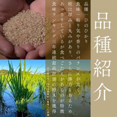 令和8年産 自然栽培米ひのひかり5kg〈栽培期間中農薬・肥料不使用〉【ほのわ】_HA1609
