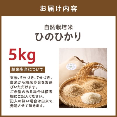令和8年産 自然栽培米ひのひかり5kg〈栽培期間中農薬・肥料不使用〉【ほのわ】_HA1609